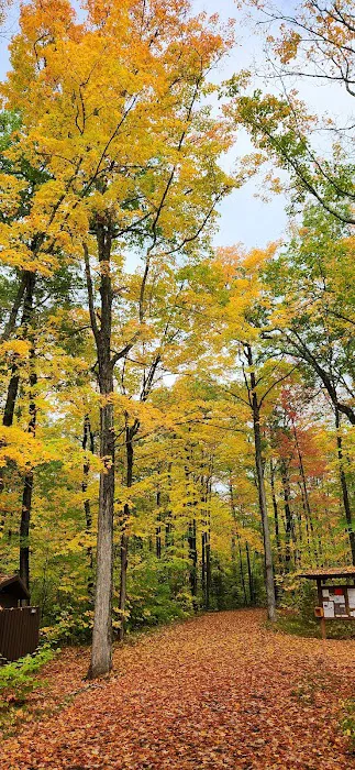 North Trout Lake campground Picture 9