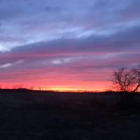 Rv park west & farms ico