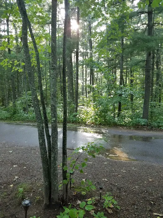 Big Lake Campground Picture 2