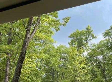 Birchwood Campground