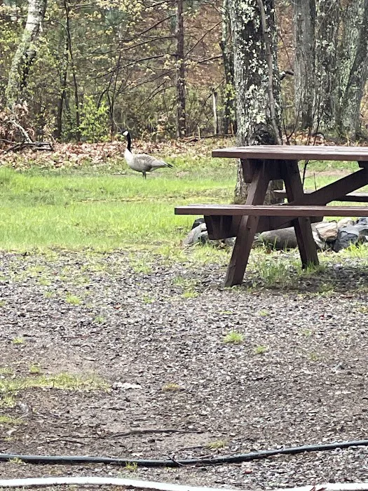 Birchwood Campground Picture 8