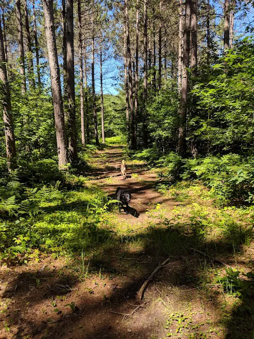 Birchwood Campground Picture 6
