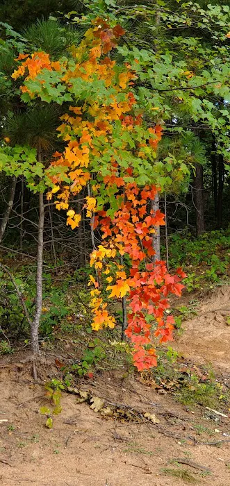 Camp Holiday Campground Picture 6