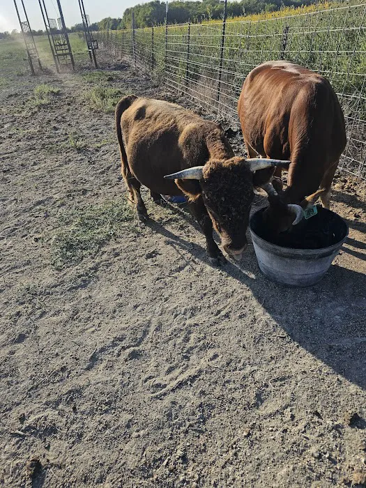 Tony's Farm Picture 5