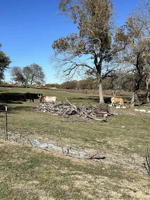 Dallas Rockwall RV PARK & Tiny Home Community Picture 1