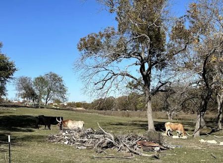 Dallas Rockwall RV PARK & Tiny Home Community