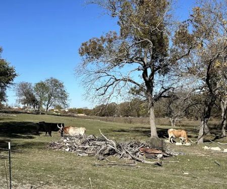 Dallas Rockwall RV PARK & Tiny Home Community