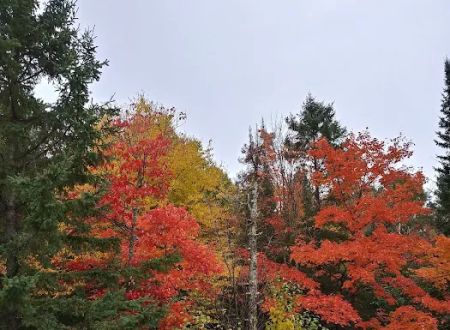 Schomberg County Park Campground