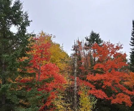 Schomberg County Park Campground