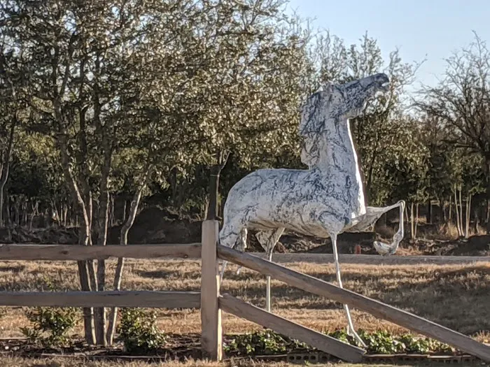 Mustang RV Park Picture 3