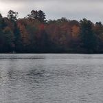 Upper Gresham Lake State Forest Campground