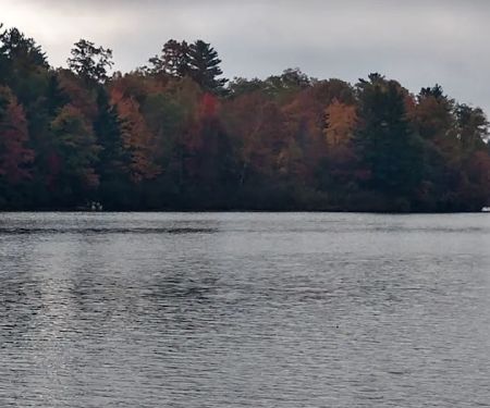 Upper Gresham Lake State Forest Campground