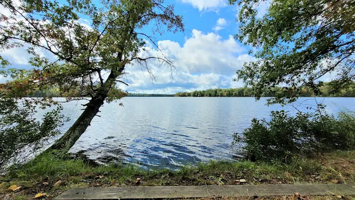 Upper Gresham Lake State Forest Campground Picture 9