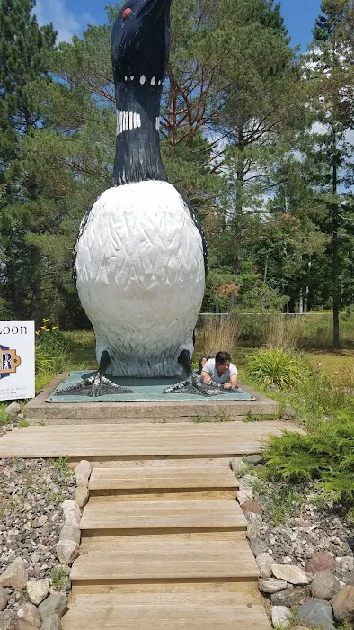 Loon Lagoon Picture 5