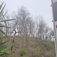 Thomas Mitchell Campground ico
