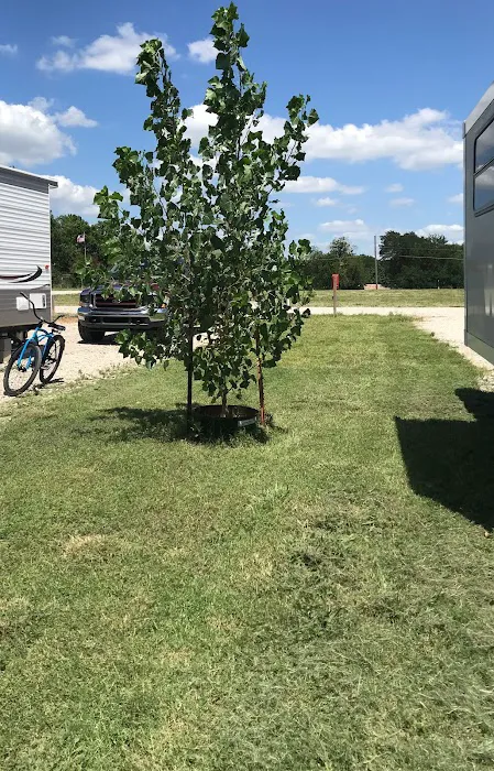 Fat Cat Rv Park Picture 2