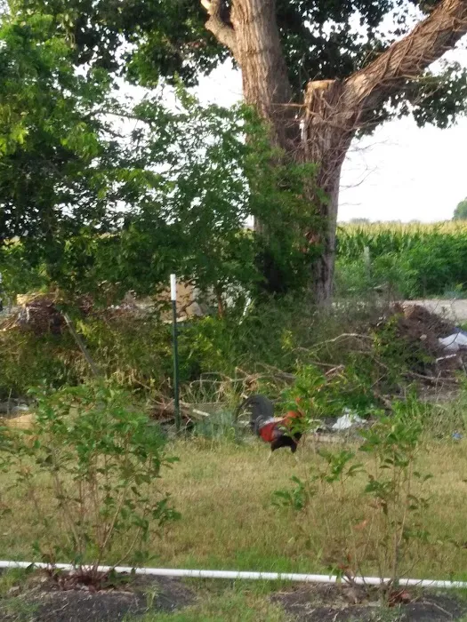 Lafons Rv Park Picture 6