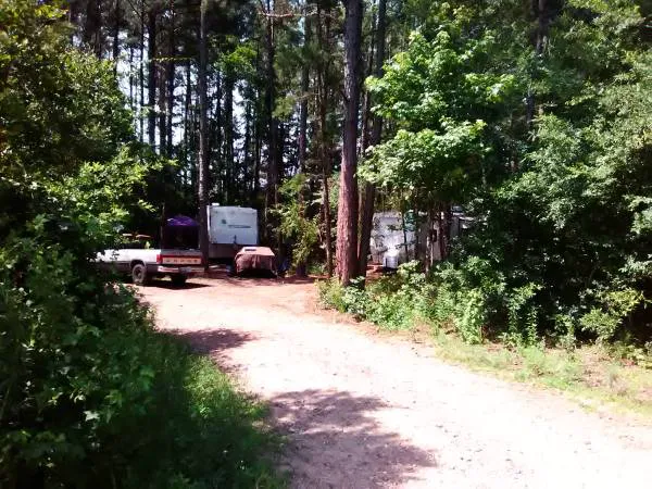 Rustic Pines RV Park of Hawkins, Texas Picture 2