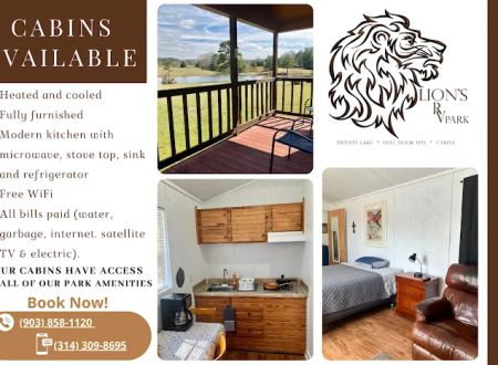 Lions RV Park & Cabins