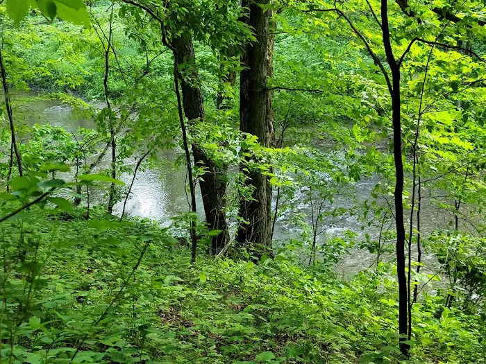 Carley State Park Campground Picture 3