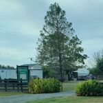 Midway RV Park- Hwy 80
