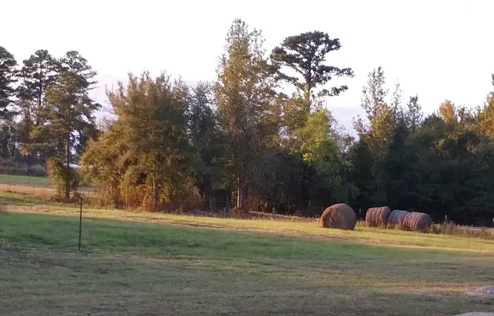Dodson Farm RV Park Picture 2