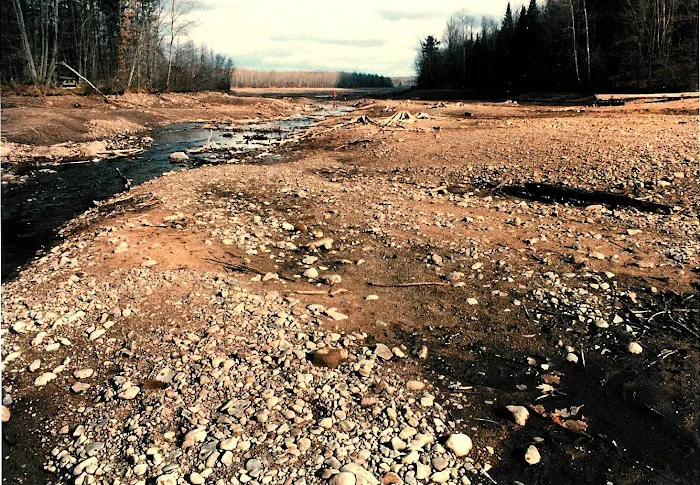 Josie Creek County Park Picture 3