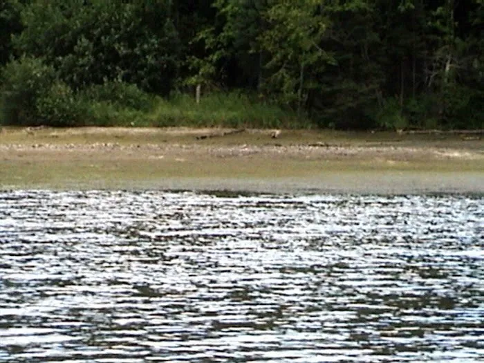 Josie Creek County Park Picture 2