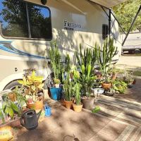 Mineola RV Park ico