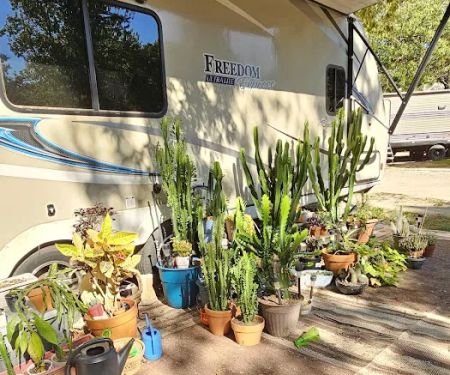Mineola RV Park