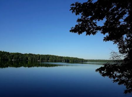 Tracey's Resort & Campground