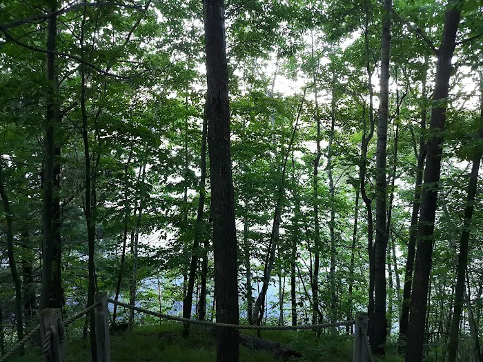 Tracey's Resort & Campground Picture 3