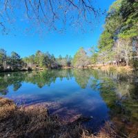 Country Pines RV Park ico