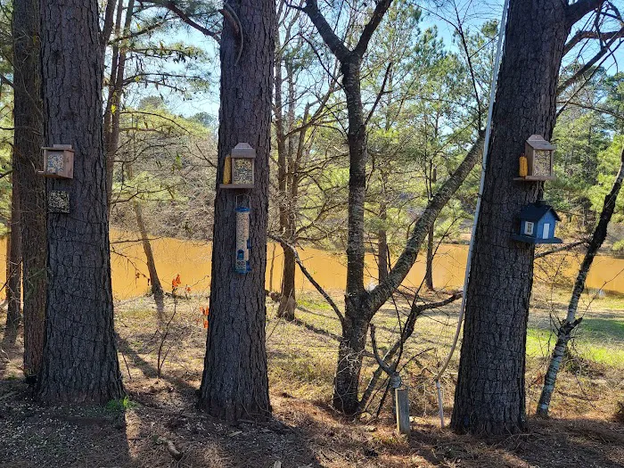Country Pines RV Park Picture 7