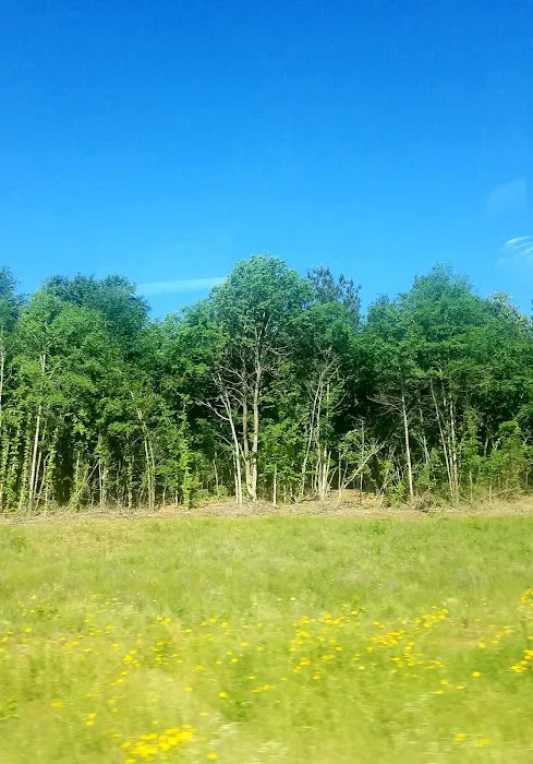 Country Pines RV Park Picture 2