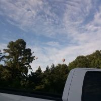 Spring Hill Trailer Park ico