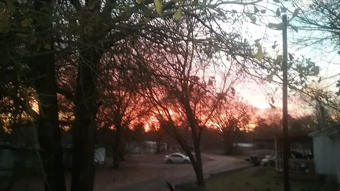 Spring Hill Trailer Park Picture 2