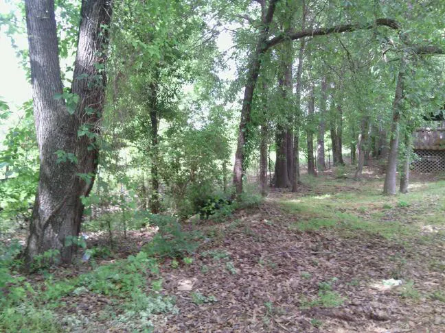 Spring Hill Trailer Park Picture 5