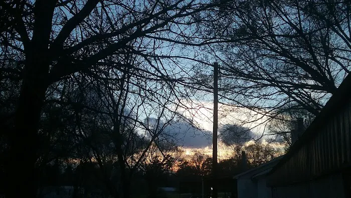 Spring Hill Trailer Park Picture 8