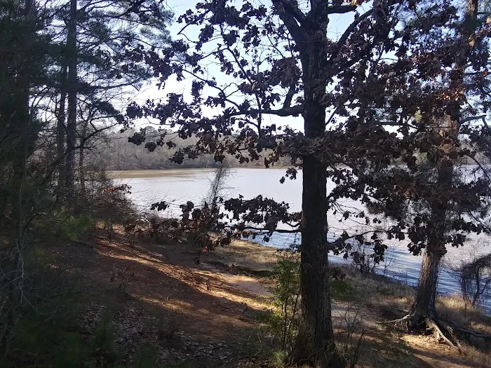 Pine Crest Trailer Park Picture 1