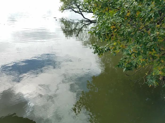 Elysian Shores Campground Picture 8
