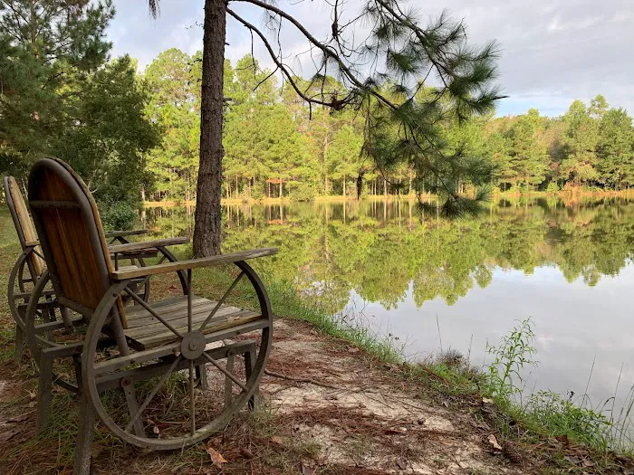 Tifton KOA Journey Picture 6