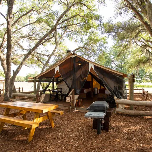 Glamping Florida, by River Ranch Picture 4