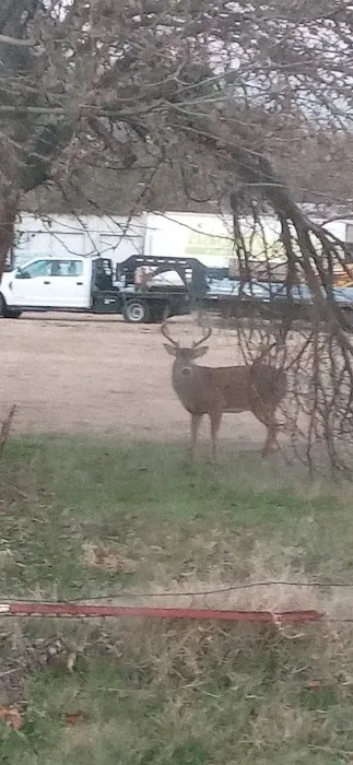 Holliday Outt RV Park 55 Plus Picture 4