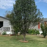 Sunnylane Estates Mobile Home ico
