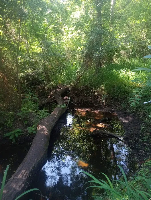 Brownville campground Picture 4