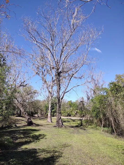 Brownville campground Picture 6