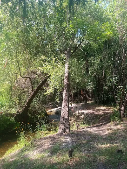 Brownville campground Picture 7