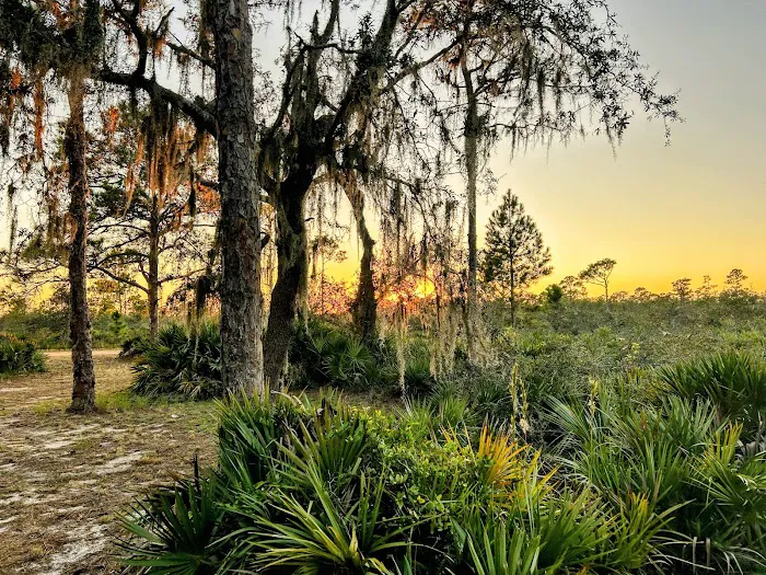 Highlands Hammock State Park Campground Picture 1