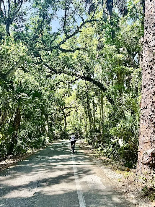 Highlands Hammock State Park Campground Picture 10